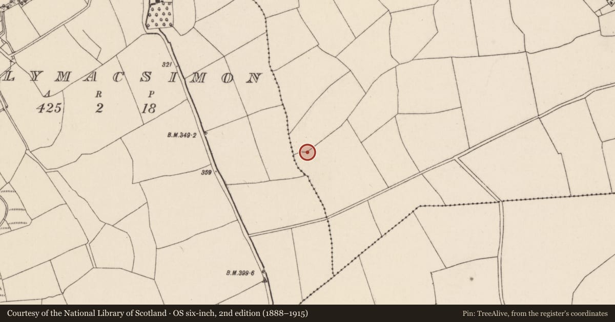 Ordnance Survey six-inch map, 2nd edition (1888–1915) covering the location of Ringfort - rath, Ballylusky, County Cork, with a pin at the register's coordinates
