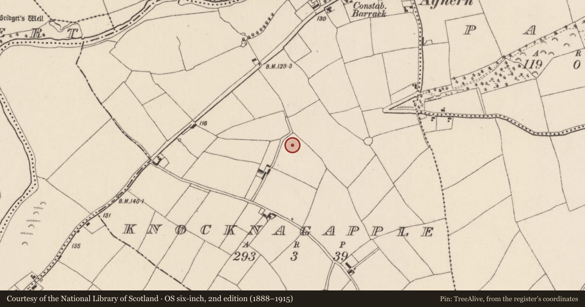 Ordnance Survey six-inch map, 2nd edition (1888–1915) covering the location of Ringfort - rath, Knocknagapple, County Cork, with a pin at the register's coordinates