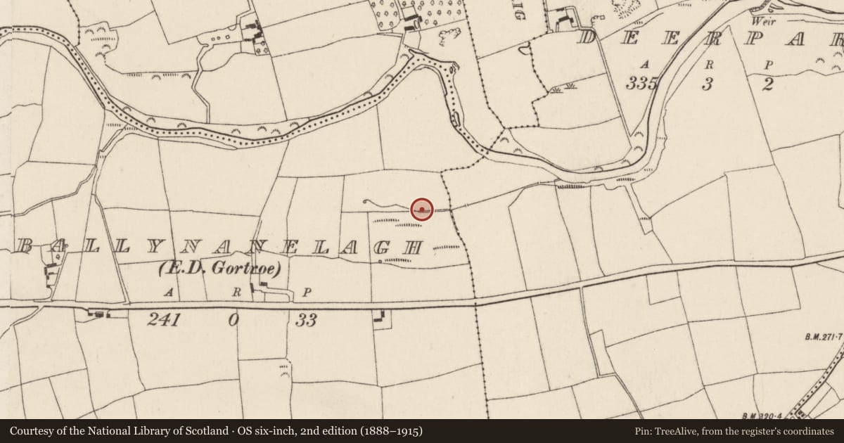 Ordnance Survey six-inch map, 2nd edition (1888–1915) covering the location of Fulacht fia, Ballynanelagh (Barrymore By., Gortroe Par.), County Cork, with a pin at the register's coordinates