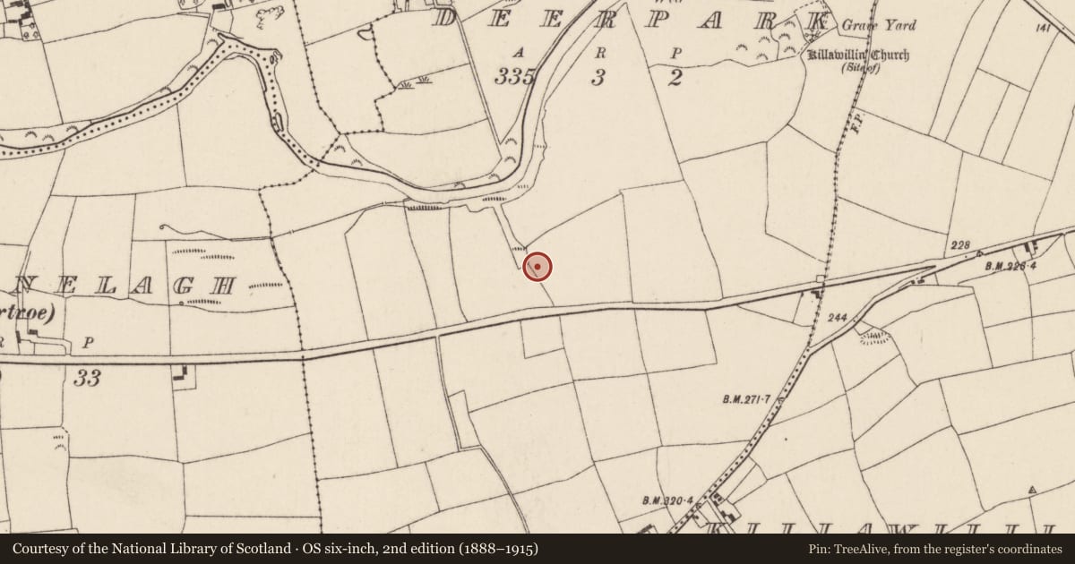Ordnance Survey six-inch map, 2nd edition (1888–1915) covering the location of Fulacht fia, Deerpark, County Cork, with a pin at the register's coordinates