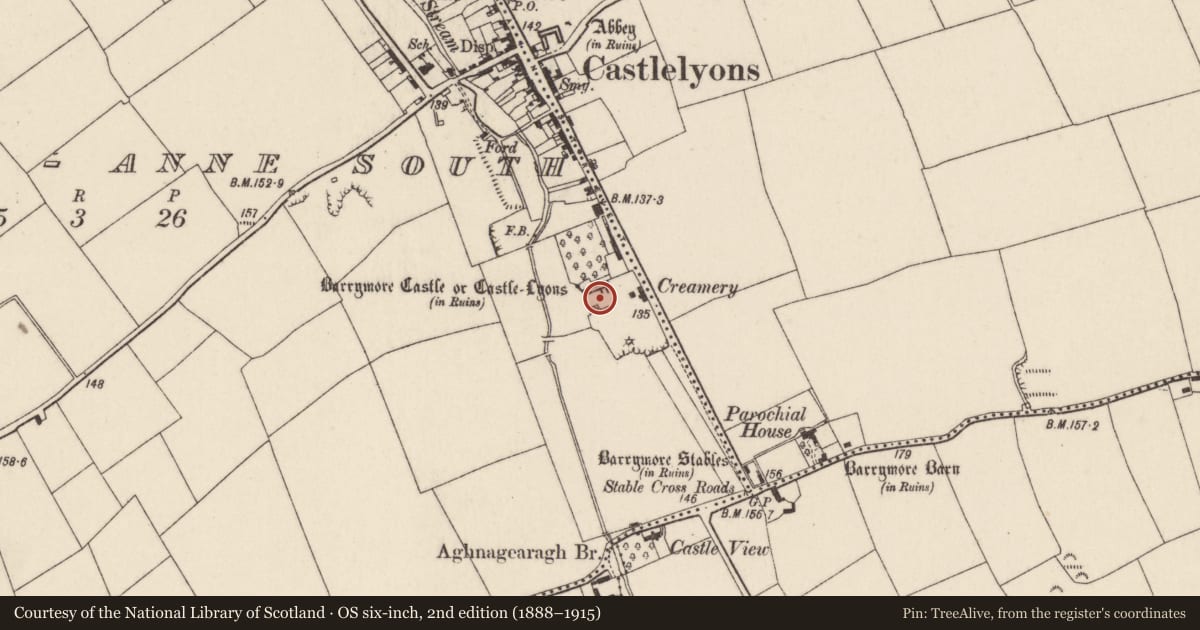 Ordnance Survey six-inch map, 2nd edition (1888–1915) covering the location of Castle - Anglo-Norman masonry castle, Kill Saint Anne South, County Cork, with a pin at the register's coordinates