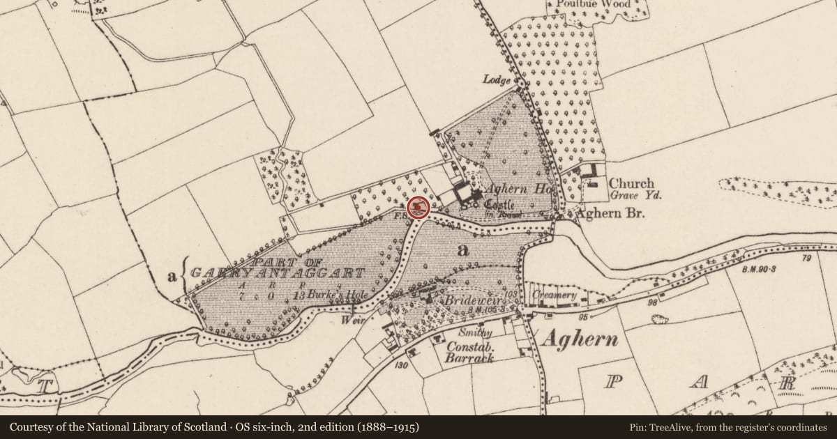 Ordnance Survey six-inch map, 2nd edition (1888–1915) covering the location of Mill - corn, Aghern West, County Cork, with a pin at the register's coordinates