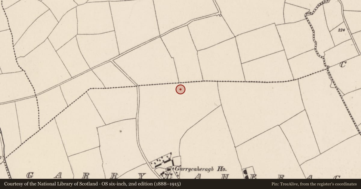 Ordnance Survey six-inch map, 2nd edition (1888–1915) covering the location of Ringfort - rath, Garrycaheragh, County Cork, with a pin at the register's coordinates