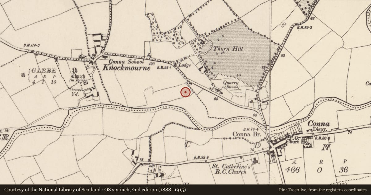 Ordnance Survey six-inch map, 2nd edition (1888–1915) covering the location of Standing stone, Clashaganniv, County Cork, with a pin at the register's coordinates