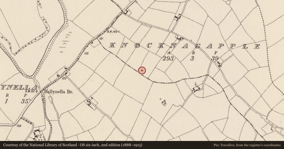 Ordnance Survey six-inch map, 2nd edition (1888–1915) covering the location of Ringfort - rath, Knocknagapple, County Cork, with a pin at the register's coordinates