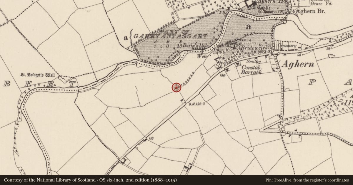 Ordnance Survey six-inch map, 2nd edition (1888–1915) covering the location of Ringfort - rath, Knocknagapple, County Cork, with a pin at the register's coordinates