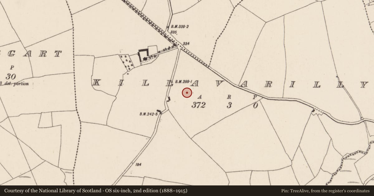 Ordnance Survey six-inch map, 2nd edition (1888–1915) covering the location of Ringfort - rath, Killavarilly, County Cork, with a pin at the register's coordinates