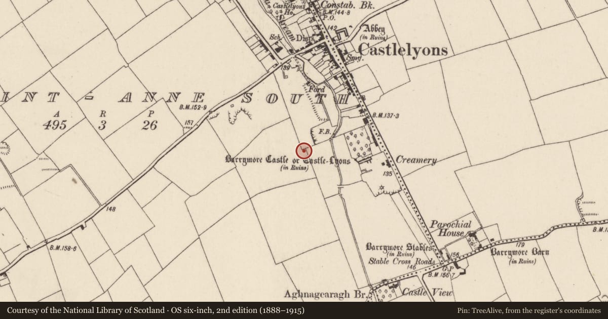 Ordnance Survey six-inch map, 2nd edition (1888–1915) covering the location of Church, Kill Saint Anne South, County Cork, with a pin at the register's coordinates