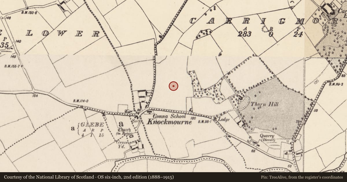 Ordnance Survey six-inch map, 2nd edition (1888–1915) covering the location of Standing stone, Carrigmore, County Cork, with a pin at the register's coordinates