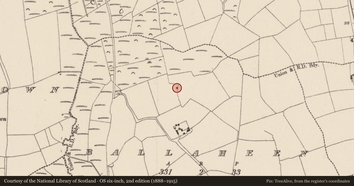 Ordnance Survey six-inch map, 2nd edition (1888–1915) covering the location of Burnt mound, Ballaheen, County Cork, with a pin at the register's coordinates