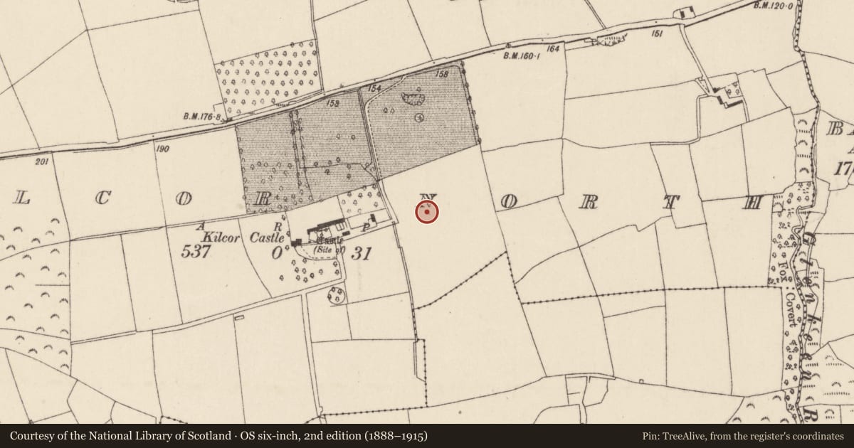 Ordnance Survey six-inch map, 2nd edition (1888–1915) covering the location of Souterrain, Kilcor North, County Cork, with a pin at the register's coordinates
