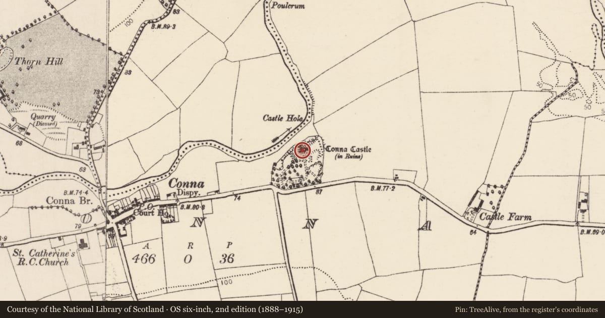 Ordnance Survey six-inch map, 2nd edition (1888–1915) covering the location of Castle - tower house, Conna, County Cork, with a pin at the register's coordinates