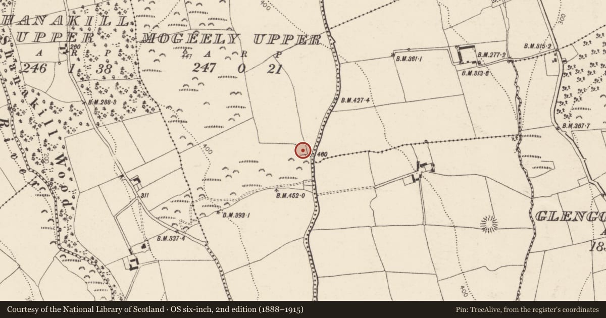 Ordnance Survey six-inch map, 2nd edition (1888–1915) covering the location of Church, Mogeely Upper, County Cork, with a pin at the register's coordinates