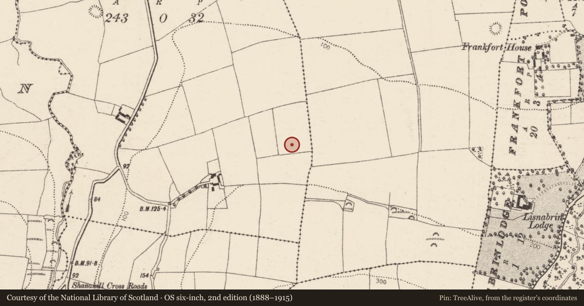 Ordnance Survey six-inch map, 2nd edition (1888–1915) covering the location of Ringfort - rath, Shanakill Lower, County Cork, with a pin at the register's coordinates