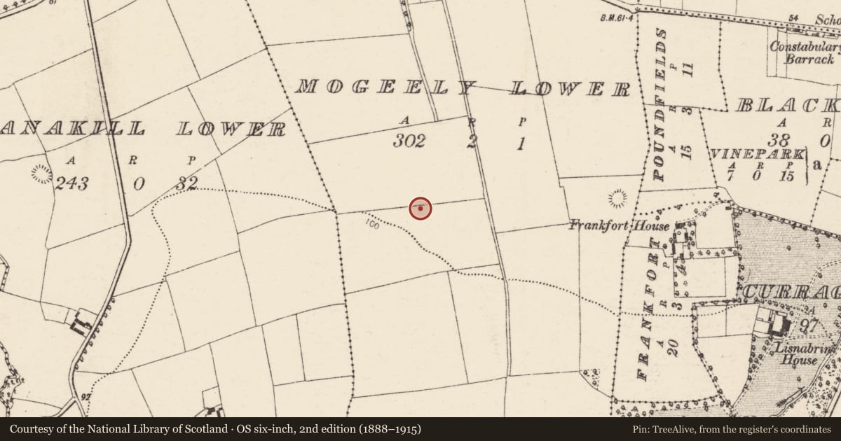 Ordnance Survey six-inch map, 2nd edition (1888–1915) covering the location of Ringfort - rath, Mogeely Lower, County Cork, with a pin at the register's coordinates