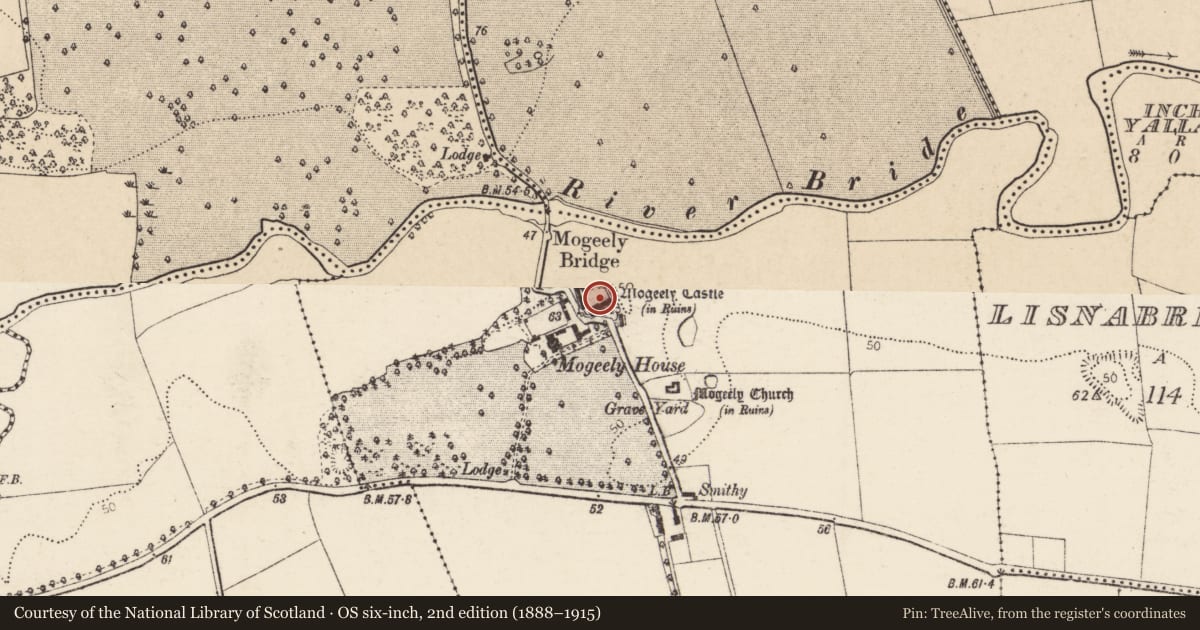 Ordnance Survey six-inch map, 2nd edition (1888–1915) covering the location of Castle - Anglo-Norman masonry castle, Mogeely Lower, County Cork, with a pin at the register's coordinates