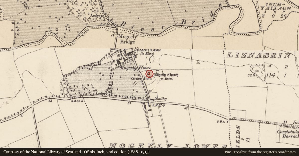 Ordnance Survey six-inch map, 2nd edition (1888–1915) covering the location of Graveyard, Mogeely Lower, County Cork, with a pin at the register's coordinates
