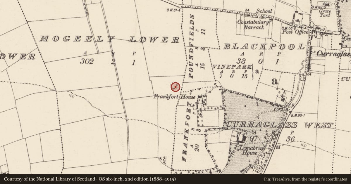 Ordnance Survey six-inch map, 2nd edition (1888–1915) covering the location of Enclosure, Mogeely Lower, County Cork, with a pin at the register's coordinates