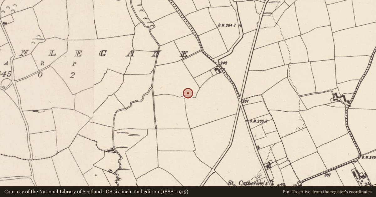 Ordnance Survey six-inch map, 2nd edition (1888–1915) covering the location of Anomalous stone group, Ballinlegane, County Cork, with a pin at the register's coordinates