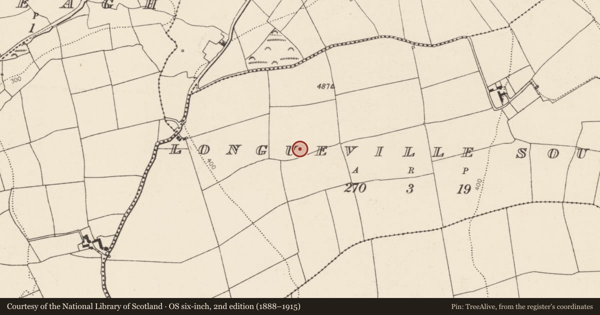 Ordnance Survey six-inch map, 2nd edition (1888–1915) covering the location of Standing stone, Longueville South, County Cork, with a pin at the register's coordinates