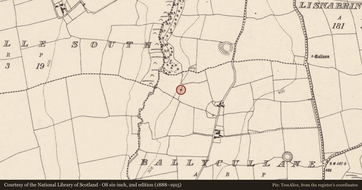 Ordnance Survey six-inch map, 2nd edition (1888–1915) covering the location of Souterrain, Ballycullane, County Cork, with a pin at the register's coordinates