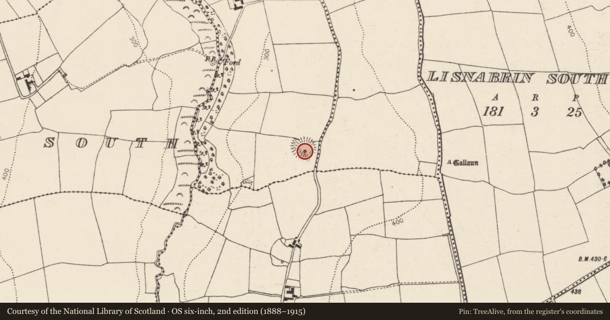 Ordnance Survey six-inch map, 2nd edition (1888–1915) covering the location of Ringfort - rath, Shanakill Upper, County Cork, with a pin at the register's coordinates