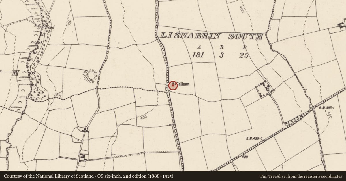 Ordnance Survey six-inch map, 2nd edition (1888–1915) covering the location of Standing stone (present location), Lisnabrin South, County Cork, with a pin at the register's coordinates
