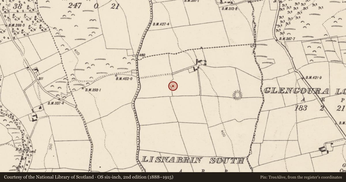 Ordnance Survey six-inch map, 2nd edition (1888–1915) covering the location of Ringfort - rath, Lisnabrin South, County Cork, with a pin at the register's coordinates