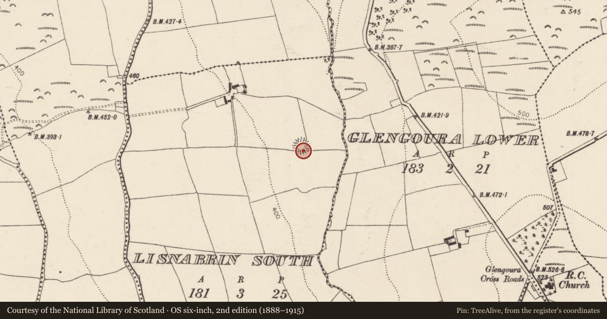 Ordnance Survey six-inch map, 2nd edition (1888–1915) covering the location of Souterrain, Lisnabrin South, County Cork, with a pin at the register's coordinates