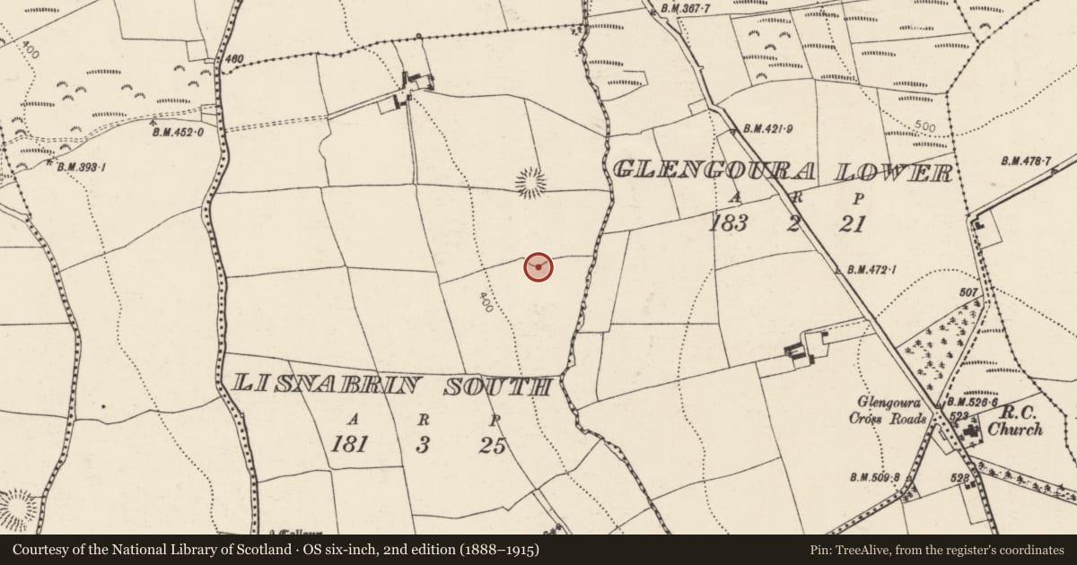 Ordnance Survey six-inch map, 2nd edition (1888–1915) covering the location of Ringfort - rath, Lisnabrin South, County Cork, with a pin at the register's coordinates