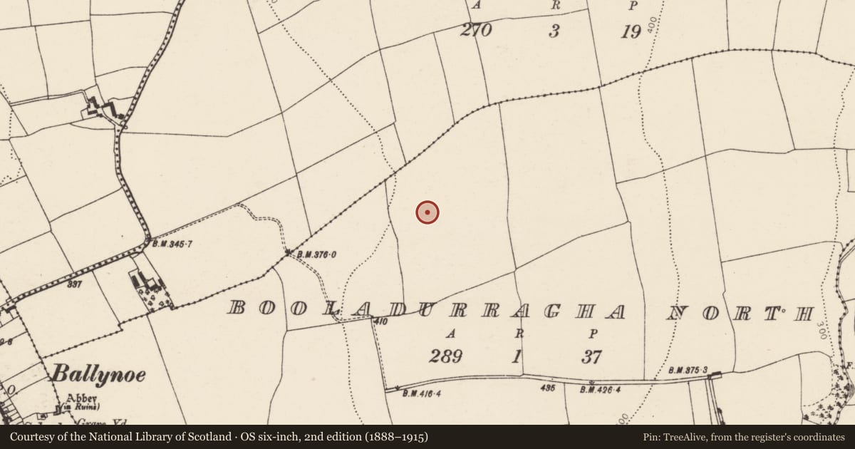 Ordnance Survey six-inch map, 2nd edition (1888–1915) covering the location of Kiln - lime, Booladurragha North, County Cork, with a pin at the register's coordinates