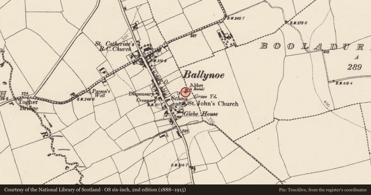 Ordnance Survey six-inch map, 2nd edition (1888–1915) covering the location of Church, Ballynoe, County Cork, with a pin at the register's coordinates