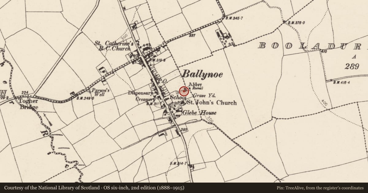 Ordnance Survey six-inch map, 2nd edition (1888–1915) covering the location of Church, Ballynoe, County Cork, with a pin at the register's coordinates