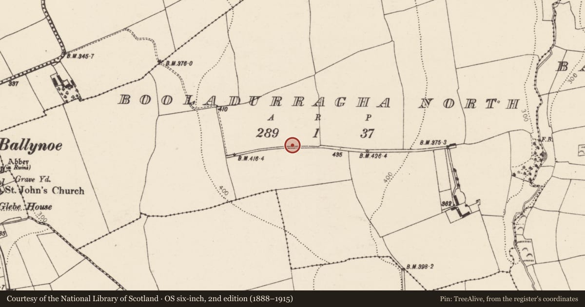 Ordnance Survey six-inch map, 2nd edition (1888–1915) covering the location of Standing stone, Booladurragha North, County Cork, with a pin at the register's coordinates