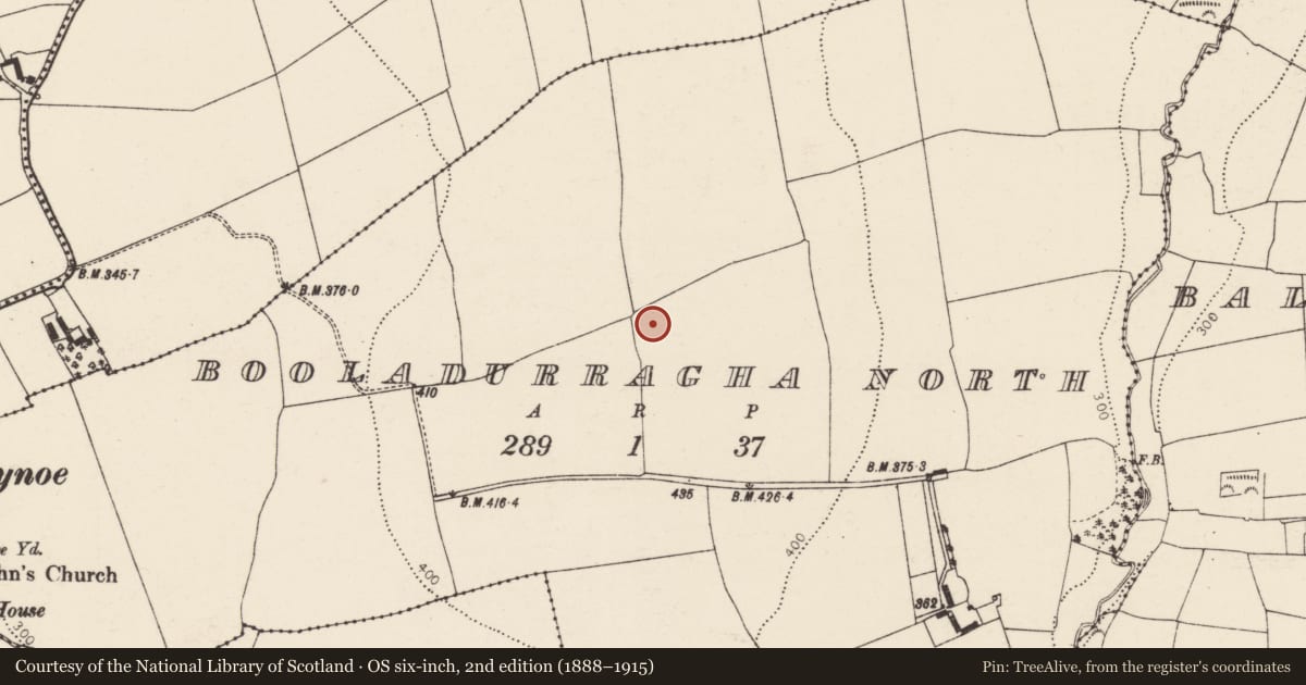 Ordnance Survey six-inch map, 2nd edition (1888–1915) covering the location of Standing stone, Booladurragha North, County Cork, with a pin at the register's coordinates