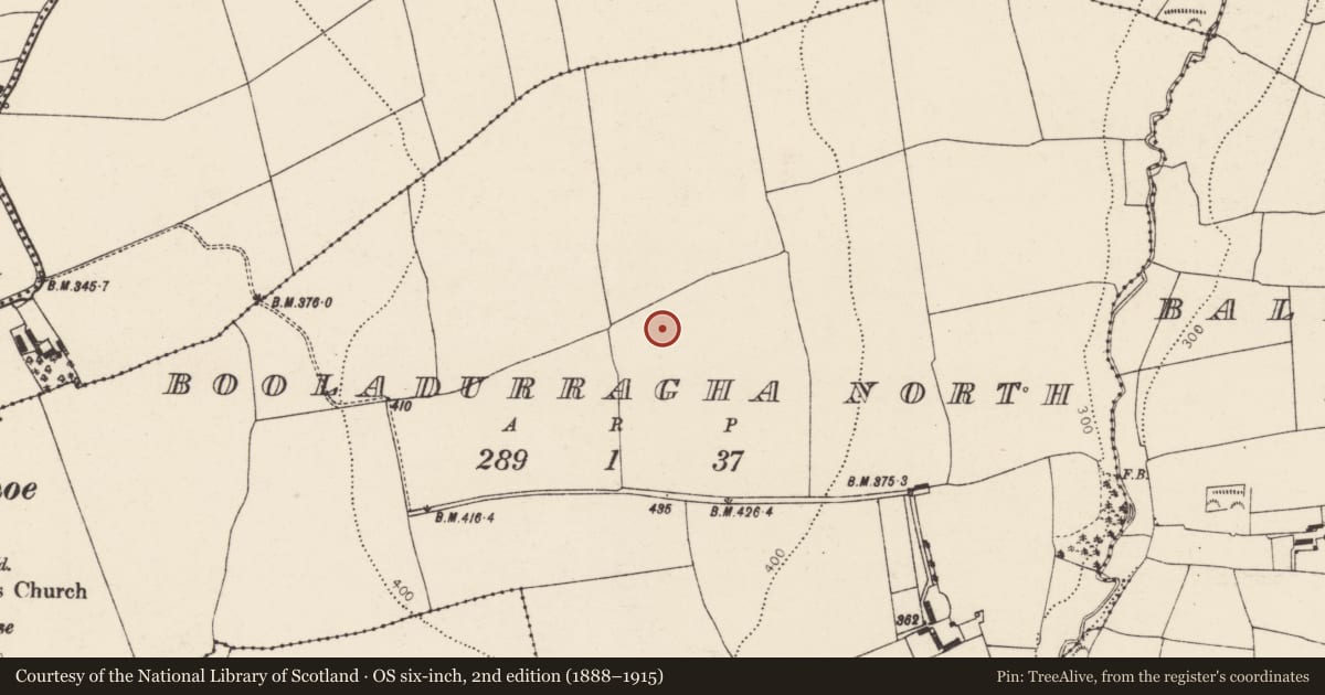 Ordnance Survey six-inch map, 2nd edition (1888–1915) covering the location of Standing stone, Booladurragha North, County Cork, with a pin at the register's coordinates