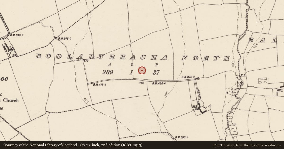 Ordnance Survey six-inch map, 2nd edition (1888–1915) covering the location of Standing stone, Booladurragha North, County Cork, with a pin at the register's coordinates