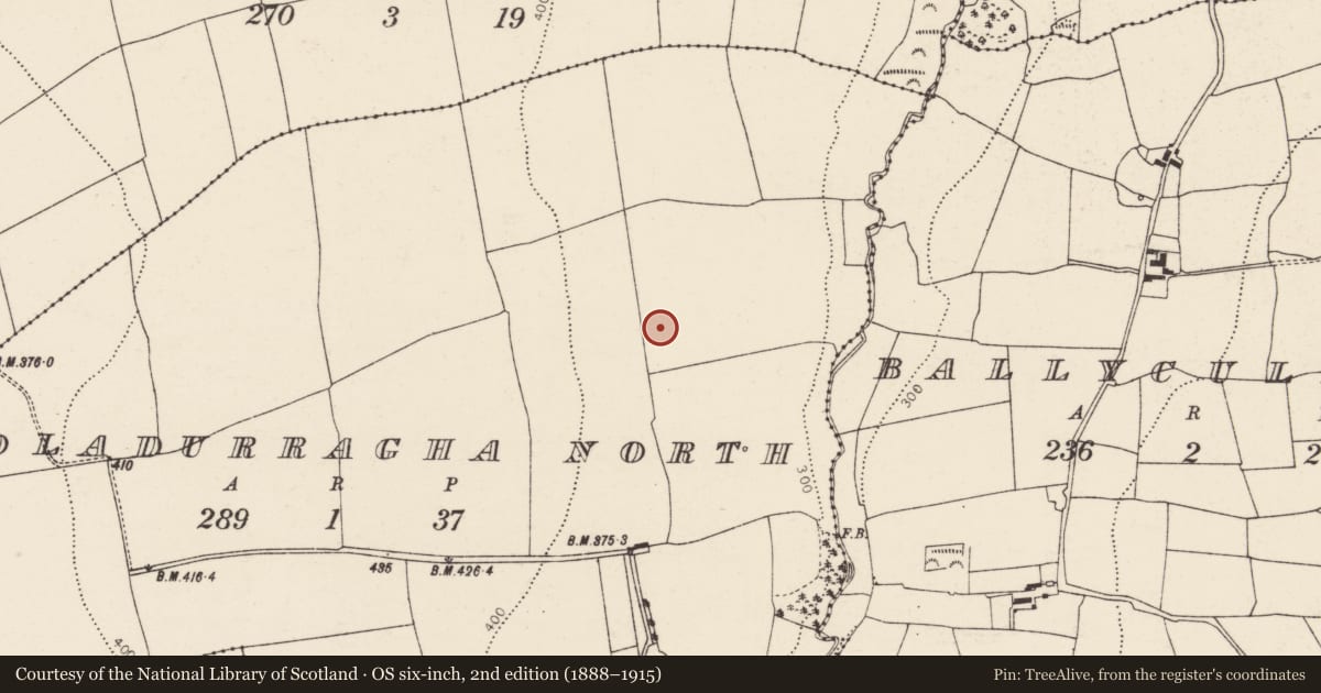 Ordnance Survey six-inch map, 2nd edition (1888–1915) covering the location of Fulacht fia, Booladurragha North, County Cork, with a pin at the register's coordinates