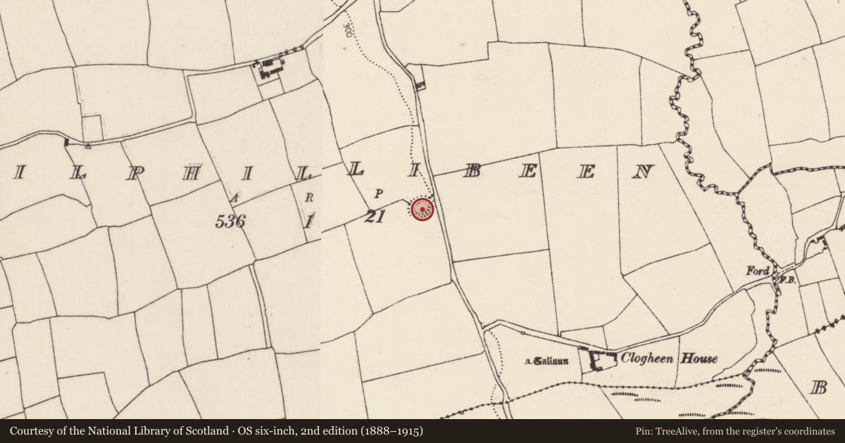 Ordnance Survey six-inch map, 2nd edition (1888–1915) covering the location of Souterrain, Kilphillibeen, County Cork, with a pin at the register's coordinates