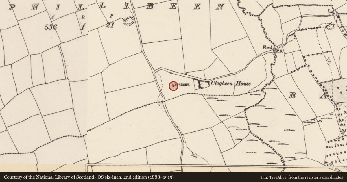 Ordnance Survey six-inch map, 2nd edition (1888–1915) covering the location of Standing stone, Kilphillibeen, County Cork, with a pin at the register's coordinates