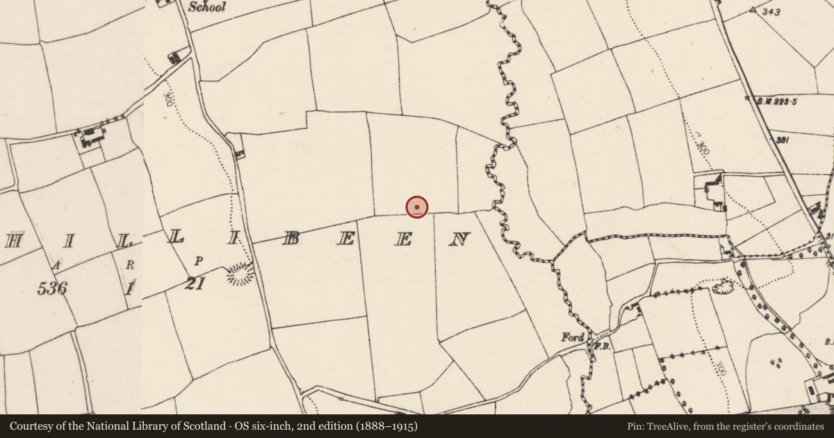 Ordnance Survey six-inch map, 2nd edition (1888–1915) covering the location of Water mill - horizontal-wheeled, Kilphillibeen, County Cork, with a pin at the register's coordinates