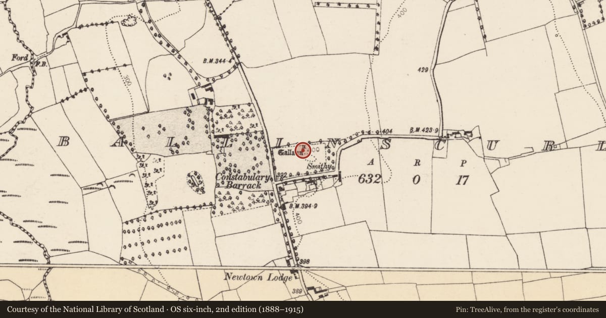 Ordnance Survey six-inch map, 2nd edition (1888–1915) covering the location of Standing stone, Ballinscurloge, County Cork, with a pin at the register's coordinates