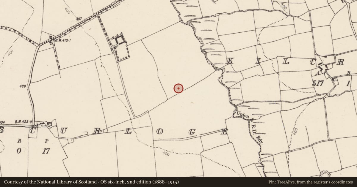 Ordnance Survey six-inch map, 2nd edition (1888–1915) covering the location of Fulacht fia, Ballinscurloge, County Cork, with a pin at the register's coordinates