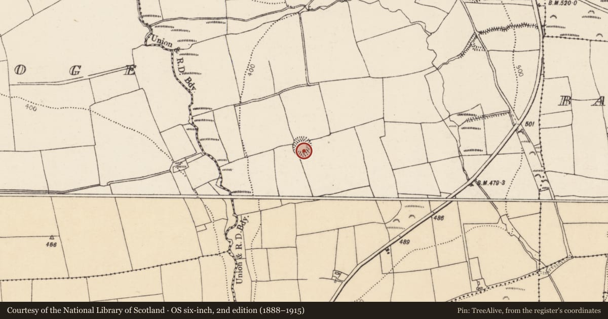Ordnance Survey six-inch map, 2nd edition (1888–1915) covering the location of Ringfort - rath, Kilcronat, County Cork, with a pin at the register's coordinates