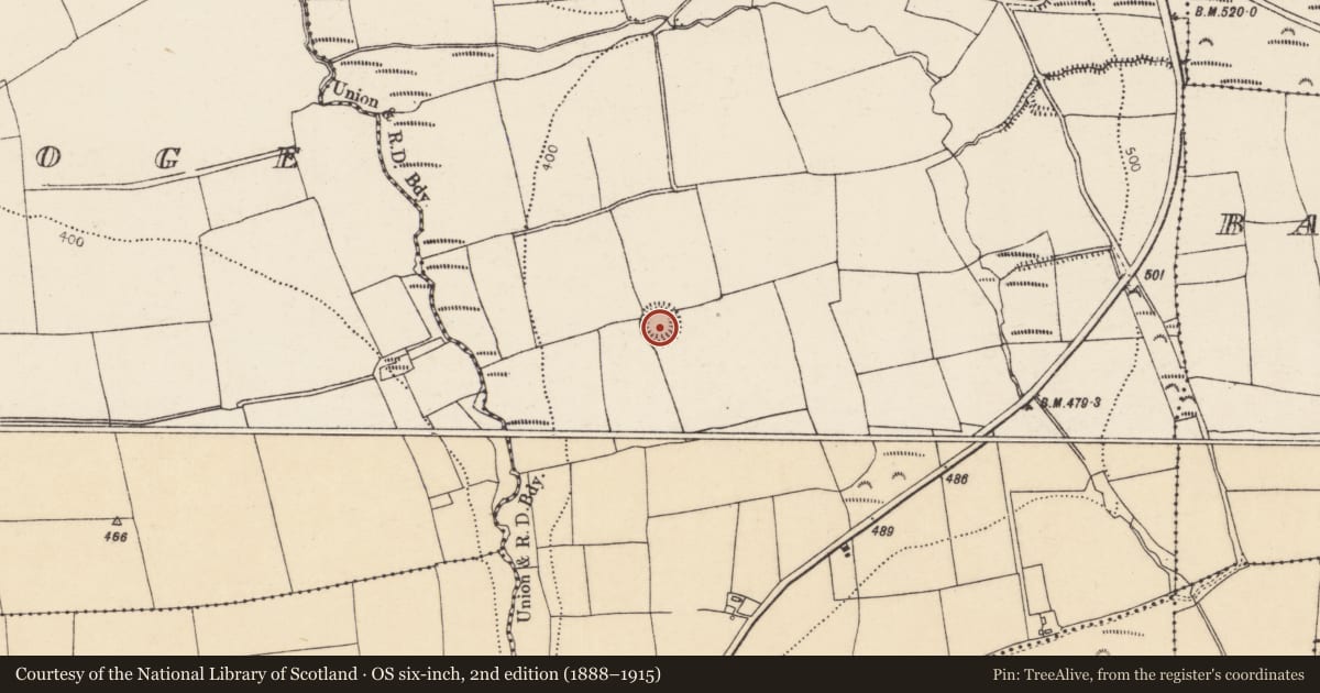 Ordnance Survey six-inch map, 2nd edition (1888–1915) covering the location of Souterrain, Kilcronat, County Cork, with a pin at the register's coordinates