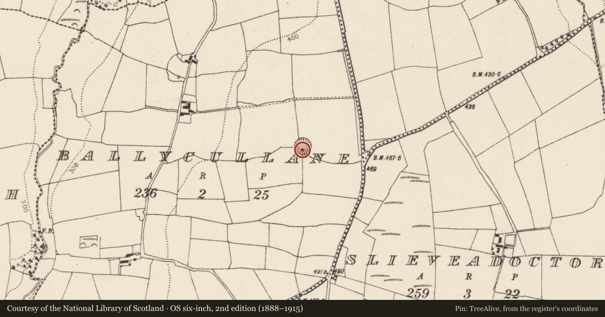 Ordnance Survey six-inch map, 2nd edition (1888–1915) covering the location of Souterrain, Ballycullane, County Cork, with a pin at the register's coordinates