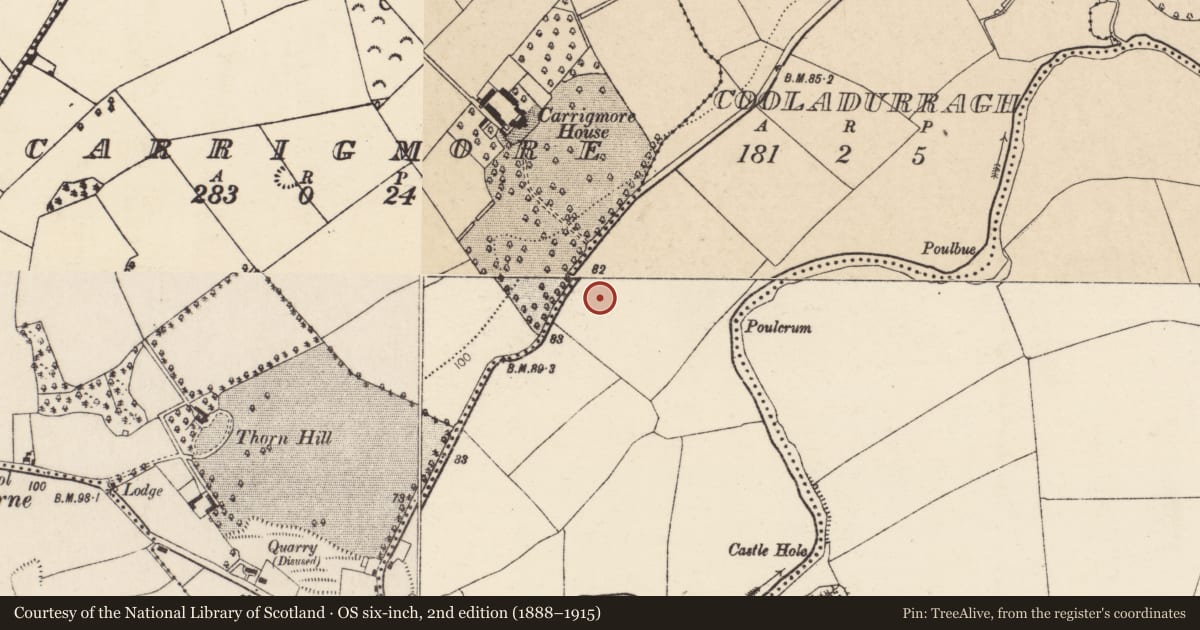 Ordnance Survey six-inch map, 2nd edition (1888–1915) covering the location of Enclosure, Cooladurragh, County Cork, with a pin at the register's coordinates