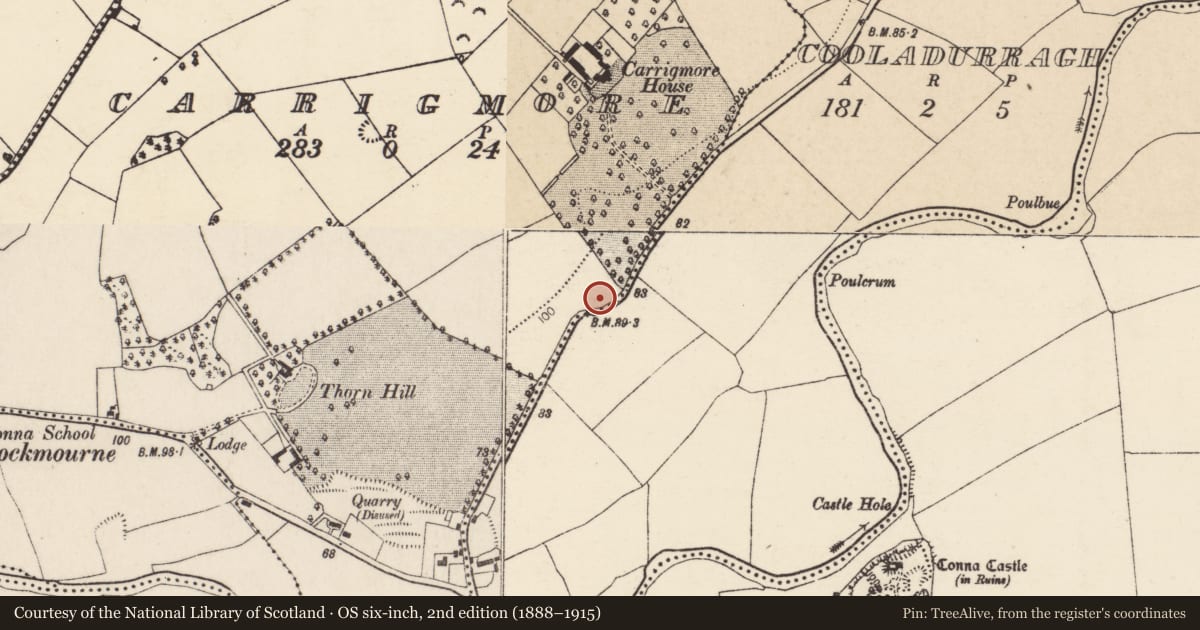 Ordnance Survey six-inch map, 2nd edition (1888–1915) covering the location of Enclosure, Cooladurragh, County Cork, with a pin at the register's coordinates