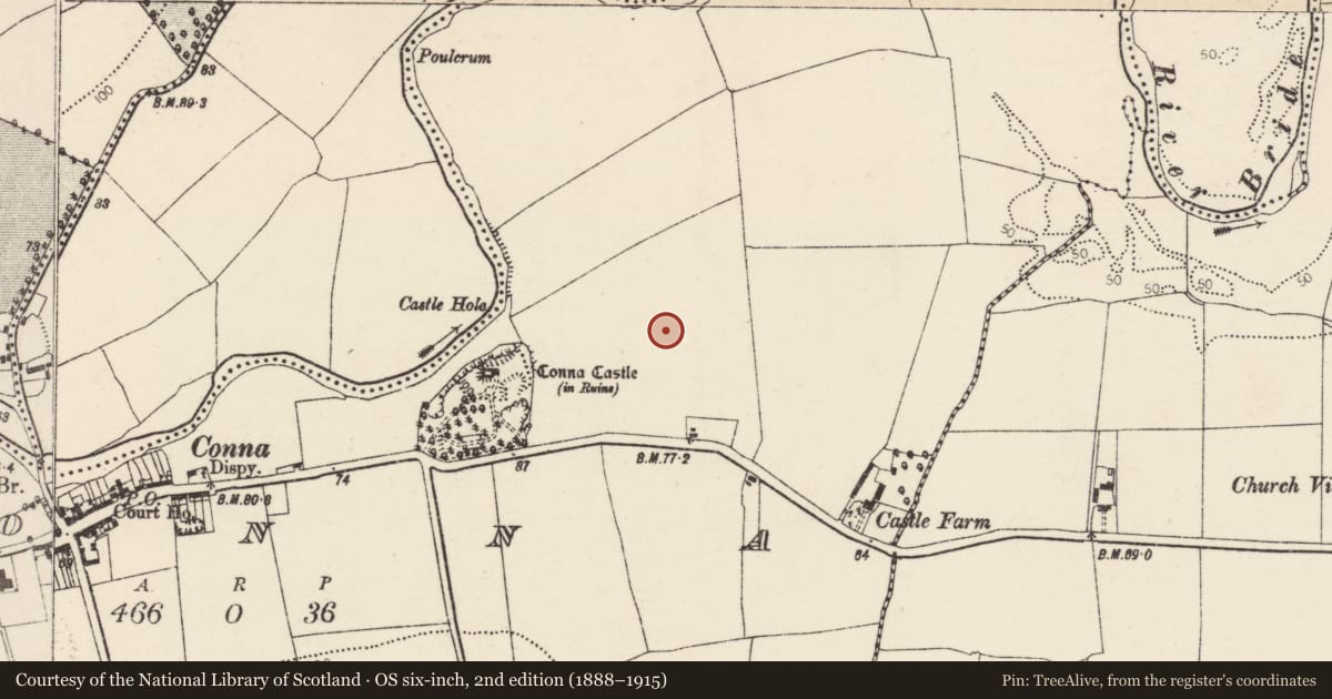 Ordnance Survey six-inch map, 2nd edition (1888–1915) covering the location of Enclosure, Conna, County Cork, with a pin at the register's coordinates