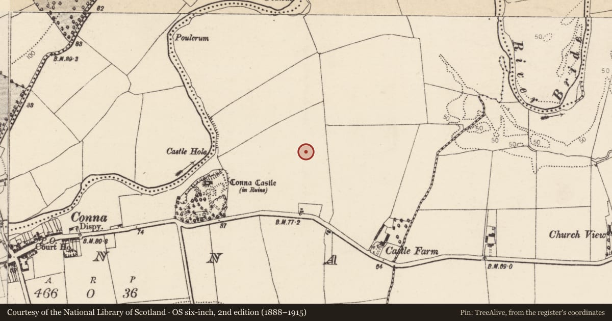 Ordnance Survey six-inch map, 2nd edition (1888–1915) covering the location of Enclosure, Conna, County Cork, with a pin at the register's coordinates